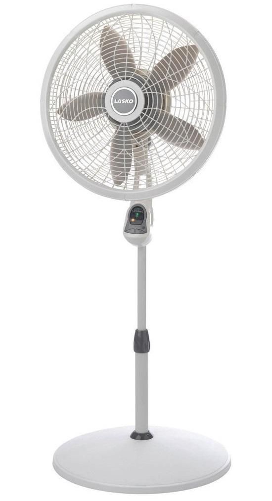 Fan