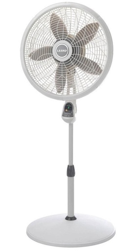 [Hot] Fan